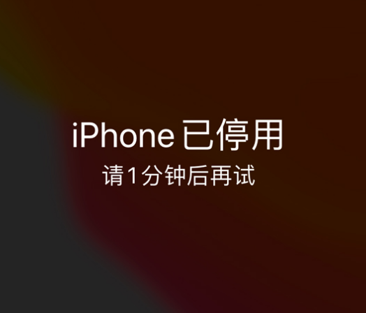 金川苹果手机维修分享:iPhone 显示“不可用”或“已停用”怎么办？还能保留数据吗？ 