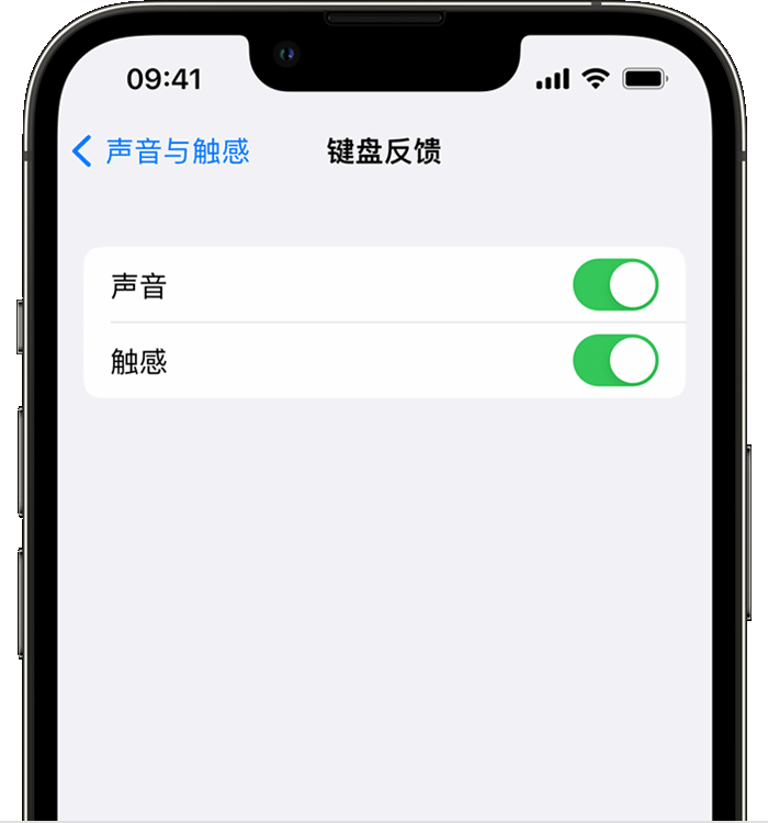 金川苹果14维修店分享如何在 iPhone 14 机型中使用触感键盘 