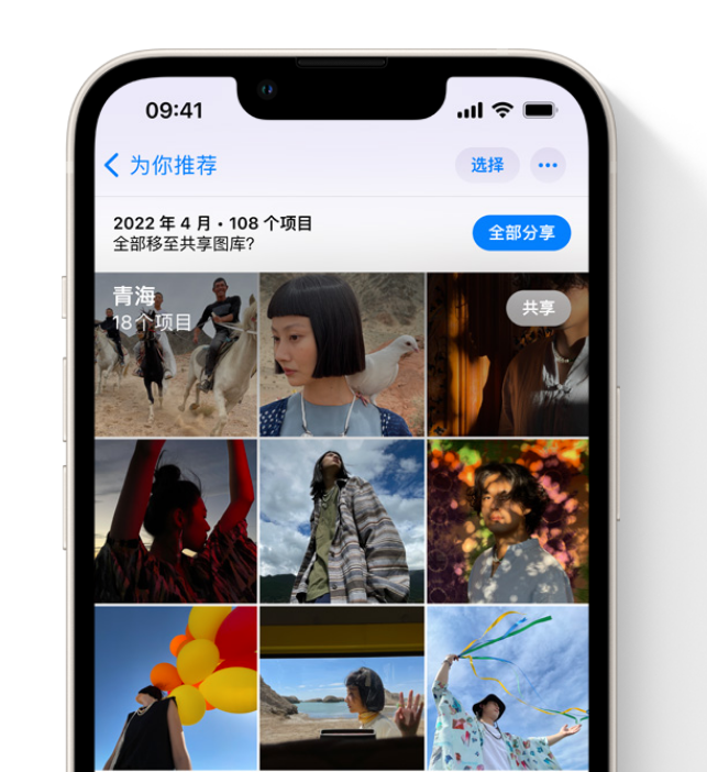 金川苹果维修网点分享在 iPhone 上使用共享图库 