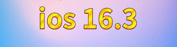 金川苹果服务网点分享苹果iOS16.3升级反馈汇总 