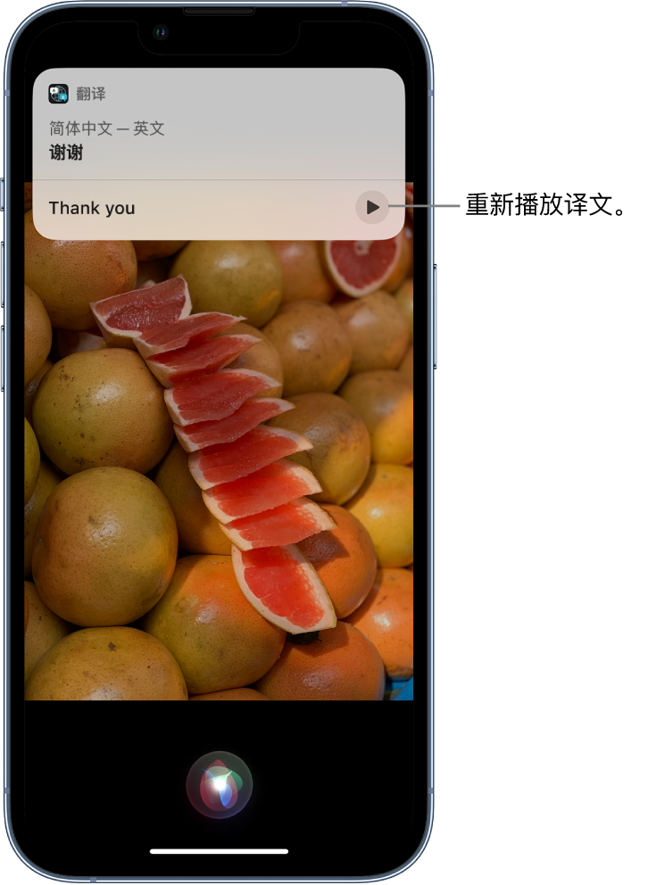 金川苹果14维修分享 iPhone 14 机型中使用 Siri：了解 Siri 能帮你做什么 