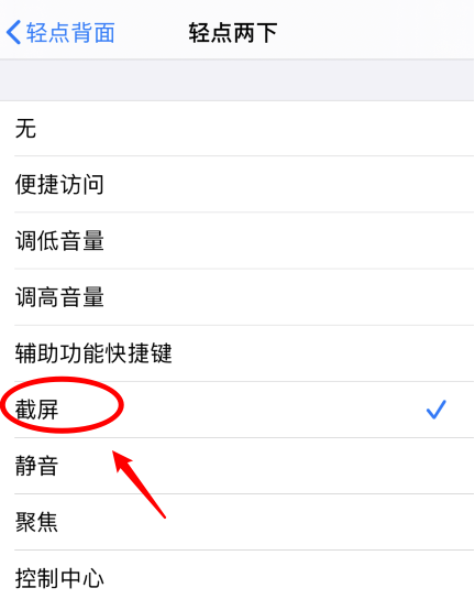 金川苹果手机维修分享iPhone12如何启用双击截屏 
