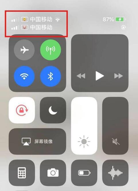 金川苹果手机维修分享为 iPhone 12 双卡设置标签 