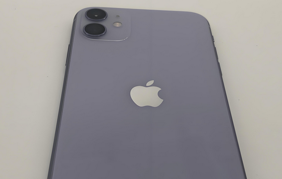 金川苹果11系统维修分享iPhone11手机系统崩溃无法开机如何解决